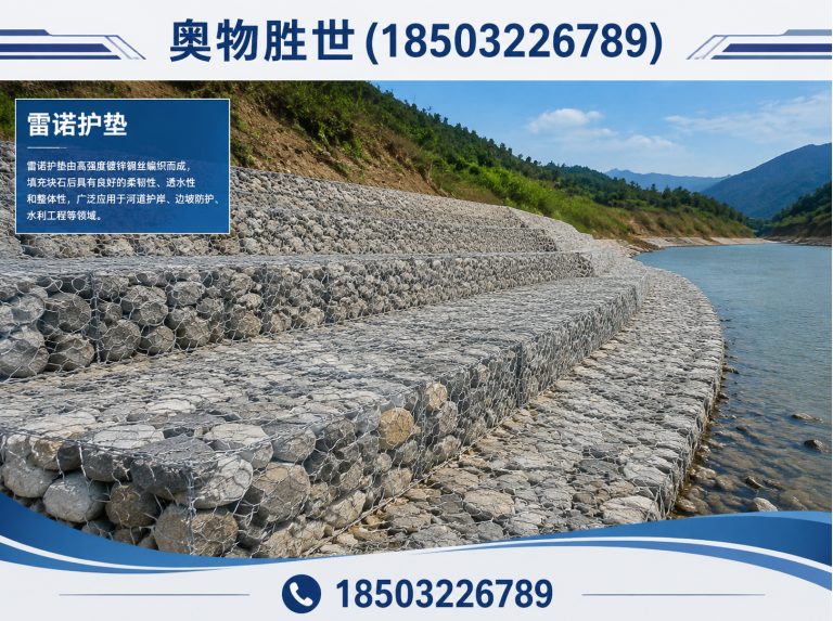宣城雷诺护垫展示图